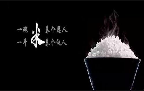 升米恩斗米仇,人际关系的微妙平衡